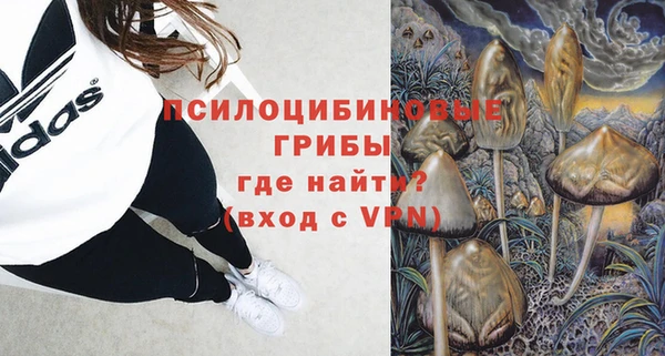 a pvp Пересвет