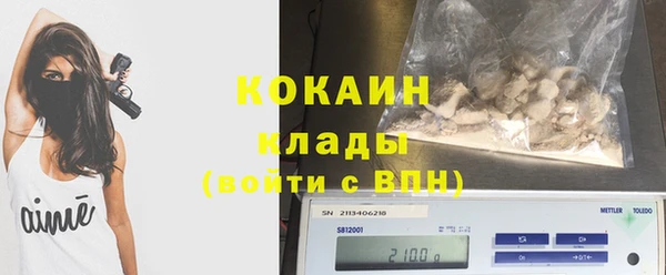 мдпв Долгопрудный