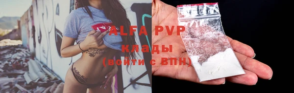 a pvp Пересвет