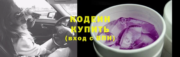a pvp Пересвет