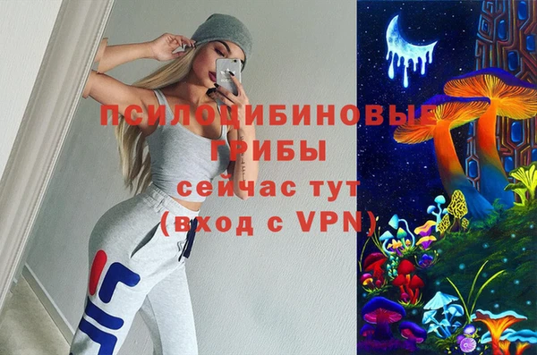 спиды Переславль-Залесский
