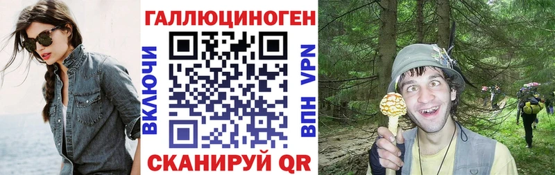 Псилоцибиновые грибы Cubensis  Томари 